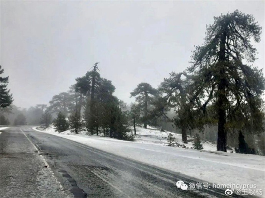 山中雪景.jpg